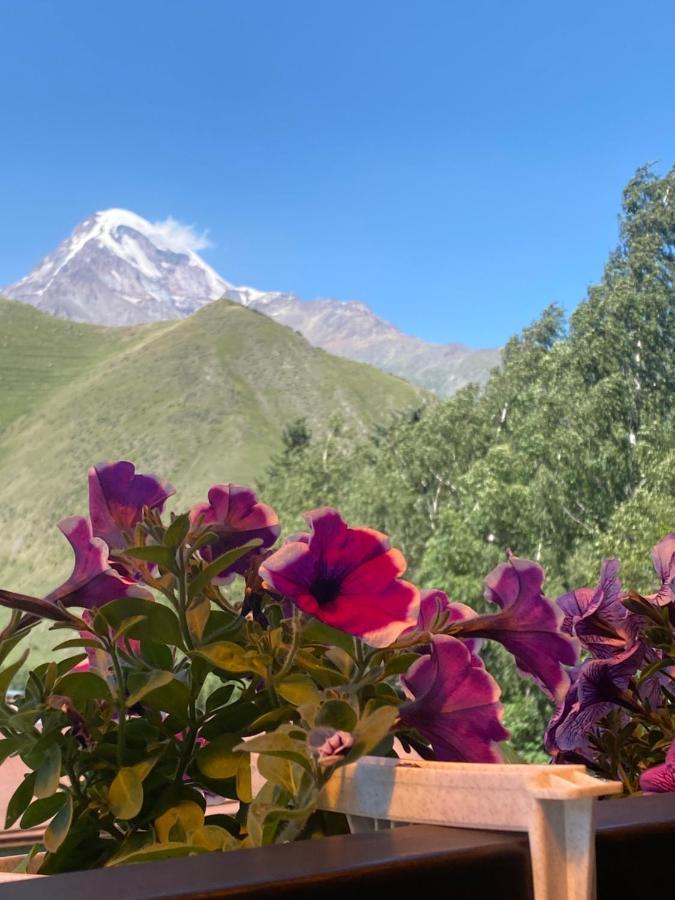 Hotel Elegant Kazbegi Εξωτερικό φωτογραφία